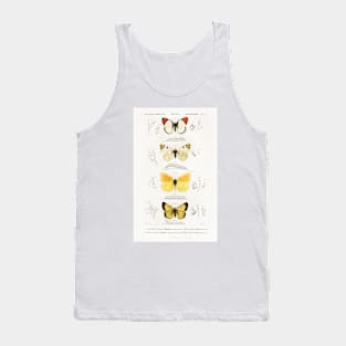 Different types of butterflies Tank Top